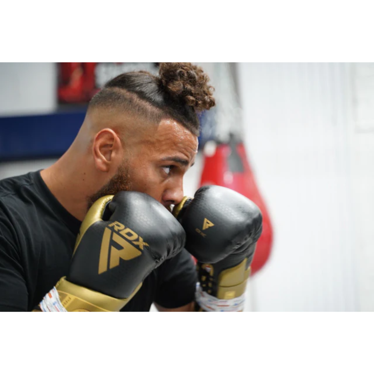 L2 Mark Pro Sparring Boxing Gloves Hook-and-Loop